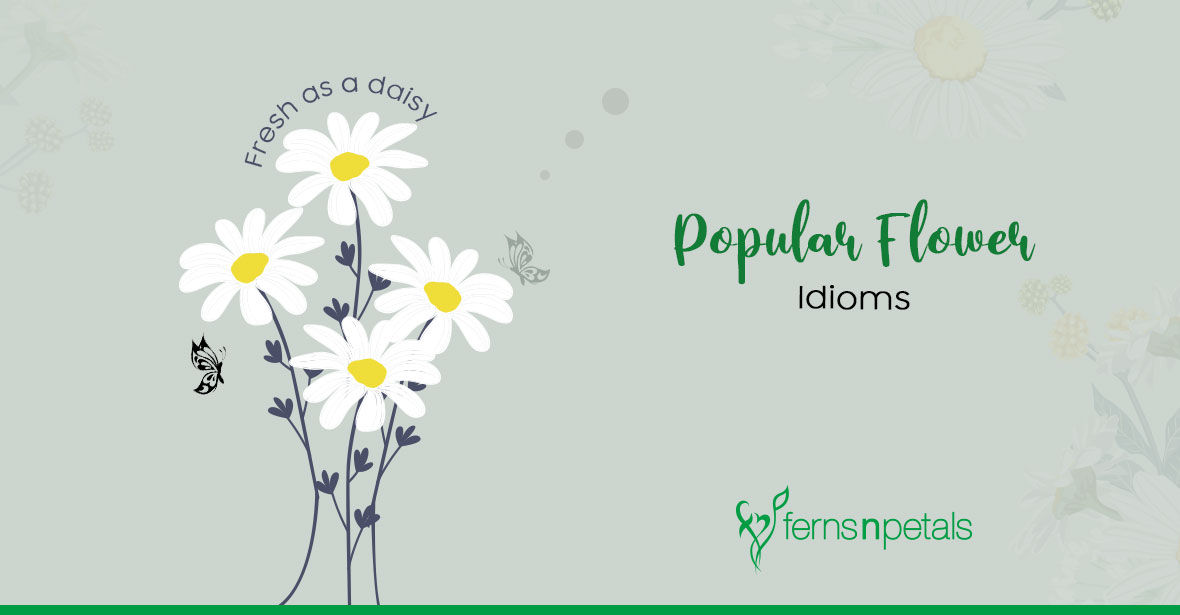 What is the Meaning of Popular Flower-Related Idioms